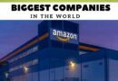 amazon- is amazon the biggest company in the world